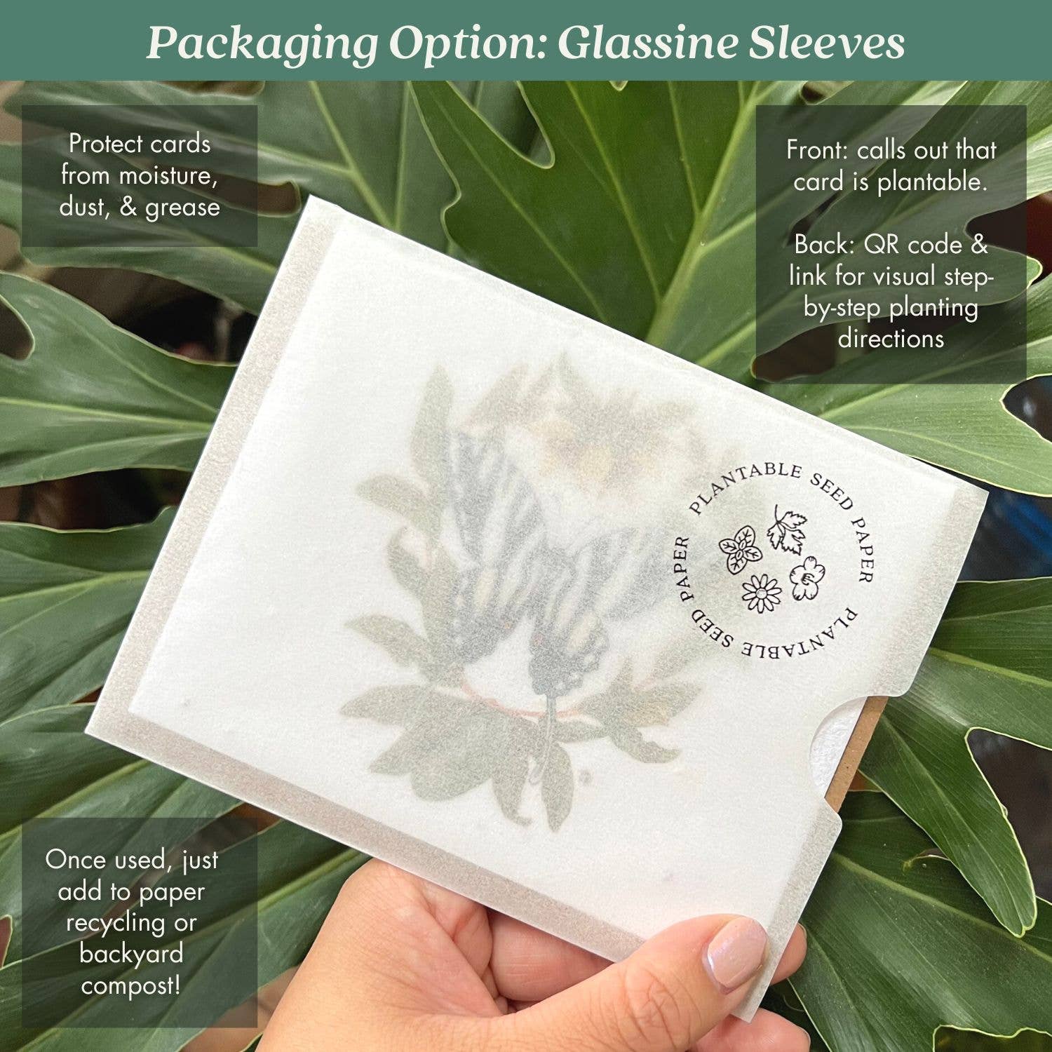 Monarch Butterfly Plantable Wildflower Seed Card